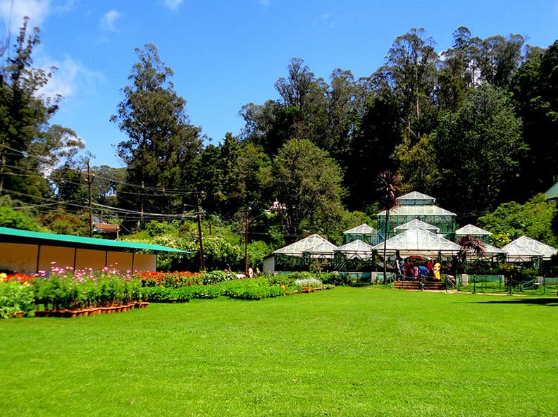 Ooty Botanical Garden